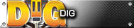 DIG